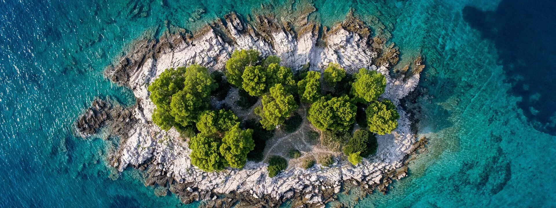 Aerial view of rocky coastline with trees and blue water